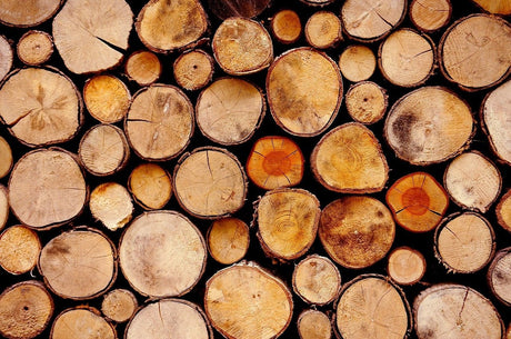 Verschillende soorten hout: wat is wat?