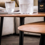 Organic coffee table Elvie set of 2 pebble -shaped acacia wood