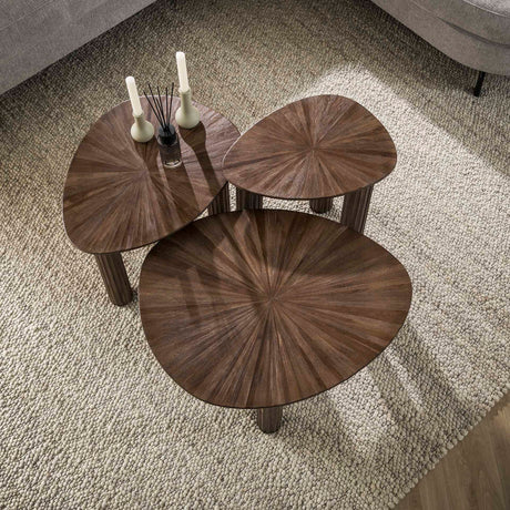 Salontafel set van 3 Myla Driehoekig Teakhout Bruin