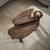 Salontafel set van 2 Myla Organisch Teakhout Bruin