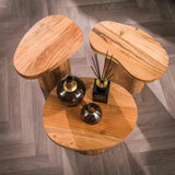 Ronde salontafel set van 3 Adam robuust acaciahout