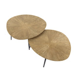 Arno Salontafel Set van 2 Ø77-Ø60 organisch antiek goud