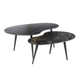 Niora Niervormige Salontafel Set van 2 Keramiek Fossil Black