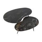 Niora Niervormige Salontafel Set van 2 Keramiek Fossil Black