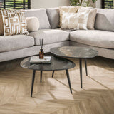 Niora Organische Salontafel Set van 2 Keramiek Fossil Black